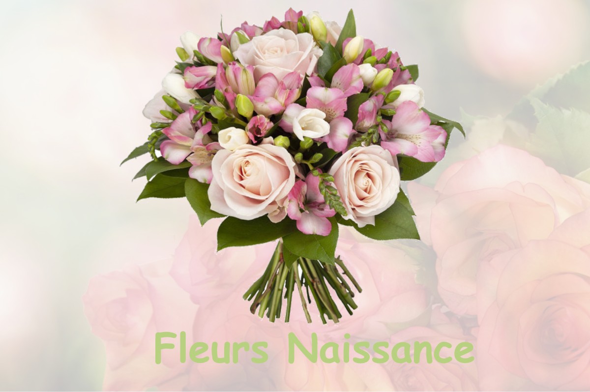 fleurs naissance LOUZOUER