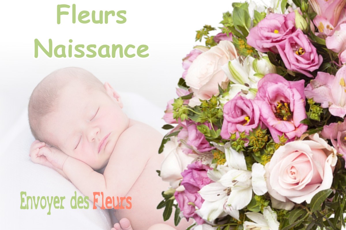 lIVRAISON FLEURS NAISSANCE à LOUZOUER